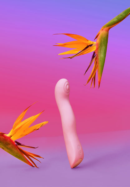 Vibrator & Clitoral Stimulator Swap - Love to Love